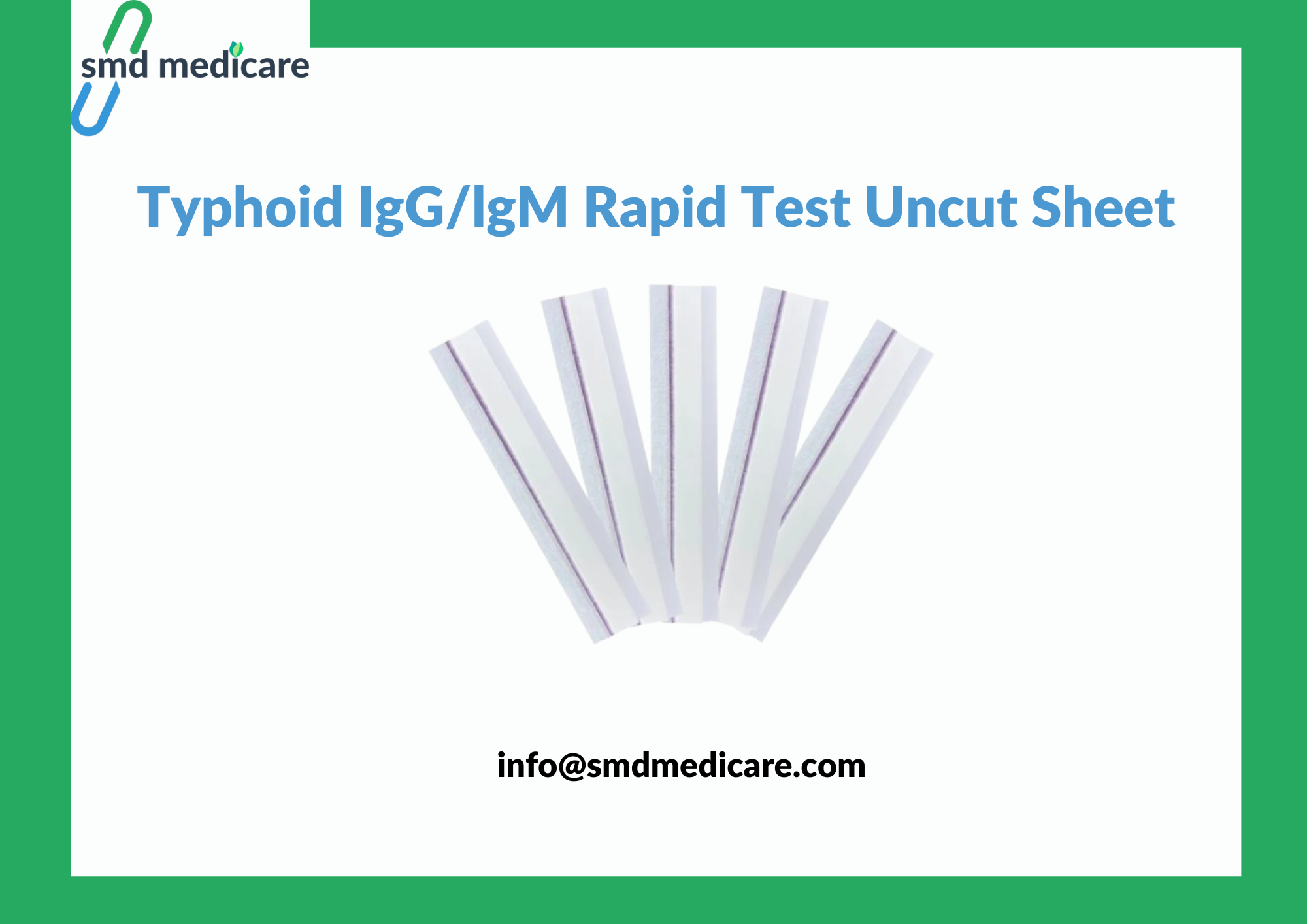 Typhoid IGG